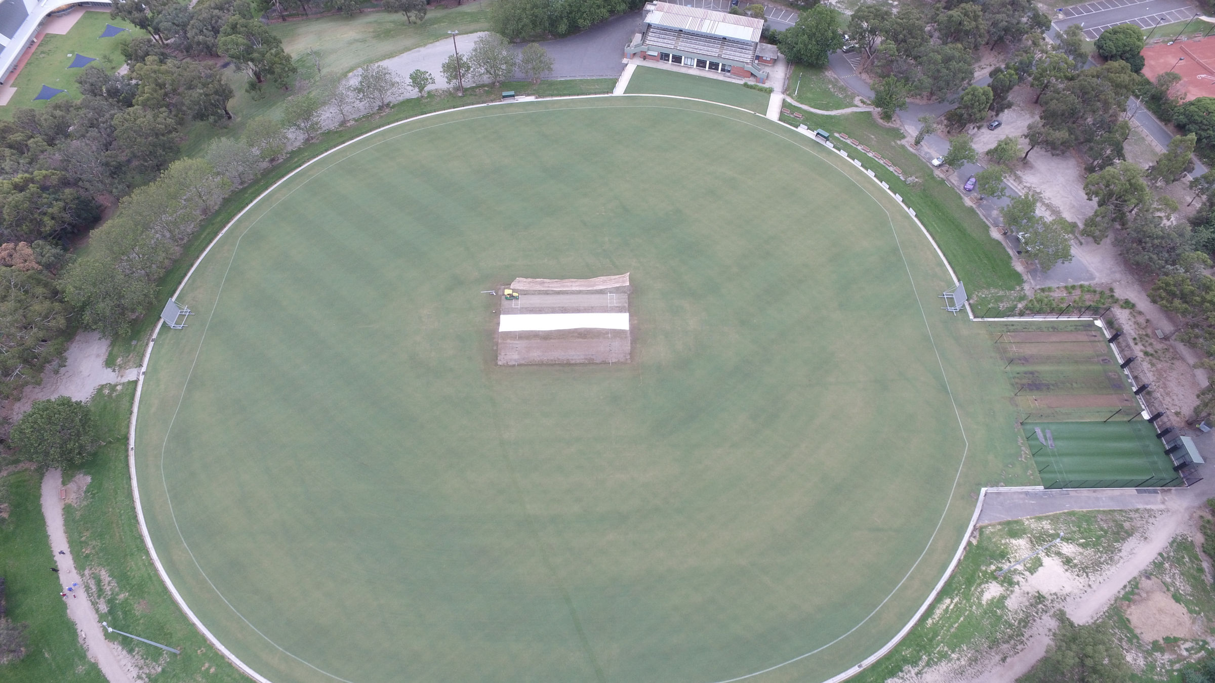 Cricket-2020